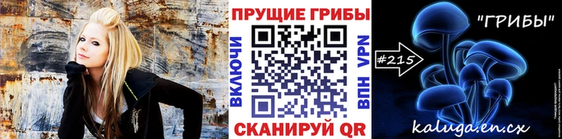 Псилоцибиновые грибы MAGIC MUSHROOMS  где можно купить наркотик  kraken tor  Пустошка 