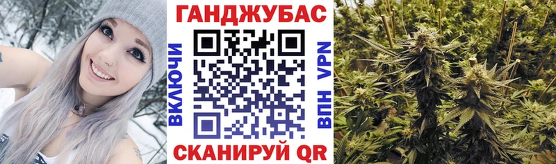 Конопля индика где найти наркотики MEGA tor Пустошка